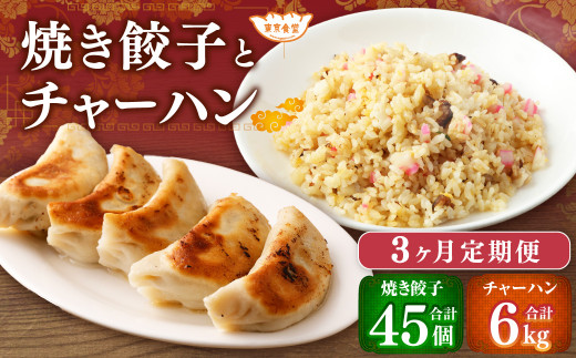 【3ヶ月定期便】東京食堂のチャーハンと焼き餃子（各5パック×3回）合計30パック