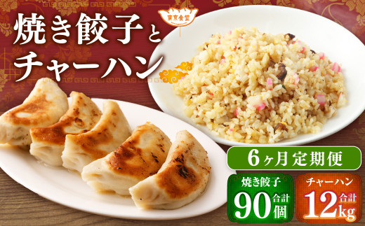 【6ヶ月定期便】東京食堂のチャーハンと焼き餃子（各5パック×6回）合計60パック