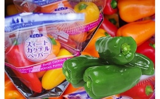 L-34 ピーマンの街からお届け！神栖市産の ピーマン ＆ ミニパプリカ（各1kg）2種 セット やさい 野菜 パプリカ 国産