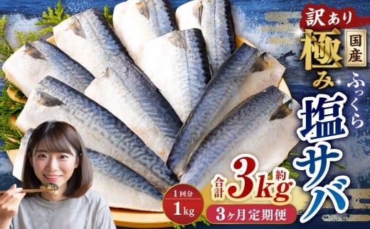 【3ヶ月定期便】【訳あり】国産 ふっくら 極み塩サバ 計約1kg ／ 1切れ 塩サバ 塩さば 塩鯖 さば サバ 鯖 魚