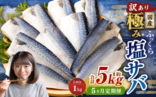 【5ヶ月定期便】【訳あり】国産 ふっくら 極み塩サバ 計約1kg ／ 1切れ 塩サバ 塩さば 塩鯖 さば サバ 鯖 魚
