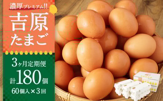 【3ヶ月定期便】濃厚プレミアム！！吉原たまご2箱 30個入り×2箱 計60個（54個＋割れ保証6個） 卵 たまご