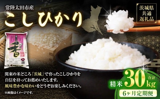 【6ヶ月定期便】 【令和7年産】 茨城県産 こしひかり 精米 5kg （茨城県共通返礼品・常陸太田市産） 5kg×6ヶ月 （計30kg） コシヒカリ 精米 米 お米 こめ おこめ コメ 白米 ご飯 ごはん ギフト 贈り物 おすすめ 定期便 国産