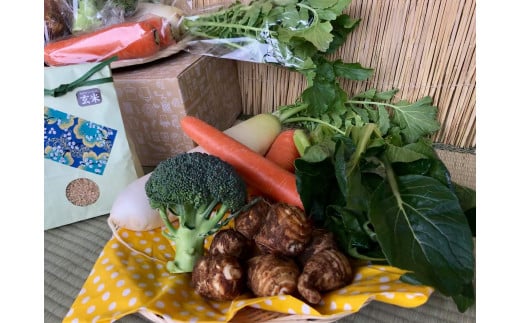 【栽培期間農薬不使用】玄米2kgと季節の野菜（4～5品）のセット 野菜 米 詰合せ 【2025年9月より順次発送開始】