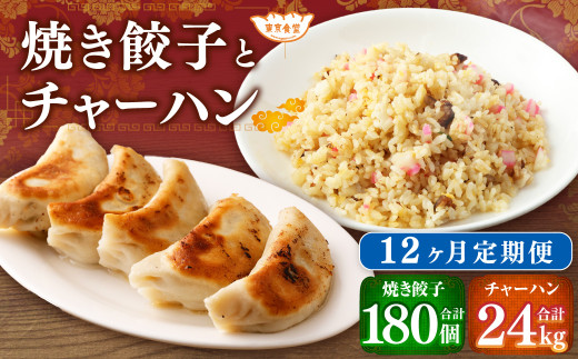 【12ヶ月定期便】東京食堂のチャーハンと焼き餃子（各5パック×12回）合計120パック