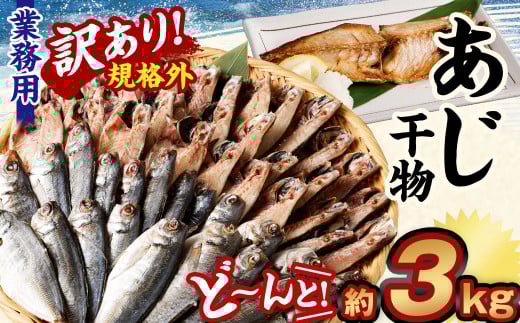【訳あり規格外】 業務用 あじ 干物 どーんと！ 3kg アジ 鯵 魚
