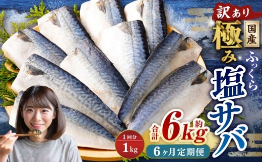 【6ヶ月定期便】【訳あり】国産 ふっくら 極み塩サバ 計約1kg ／ 1切れ 塩サバ 塩さば 塩鯖 さば サバ 鯖 魚