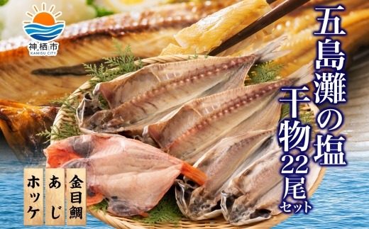 干物詰め合わせ 計22尾セット（あじ開き×7尾・ほっけ開き×7尾・金目鯛開き×8尾）