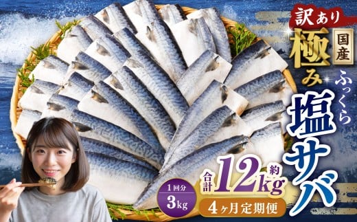 【4ヶ月定期便】【訳あり】国産 ふっくら 極み塩サバ 計約3kg ／ 1切れ 塩サバ 塩さば 塩鯖 さば サバ 鯖 魚
