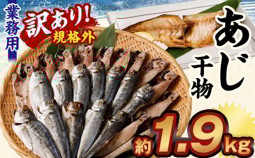 訳あり規格外 業務用あじ干物 1.9kg
