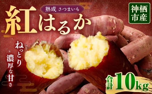 “熟成” 茨城県産 神栖市産 さつまいも 【 紅はるか 】 約10kg 芋 いも サツマイモ 野菜 やさい 国産