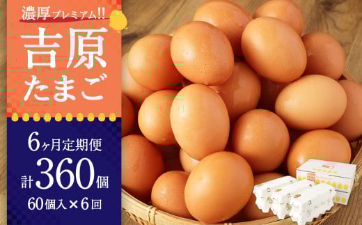 【６ヶ月定期便】濃厚プレミアム！！吉原たまご2箱 30個入り×2箱 計60個（54個＋割れ保証6個） 卵 たまご