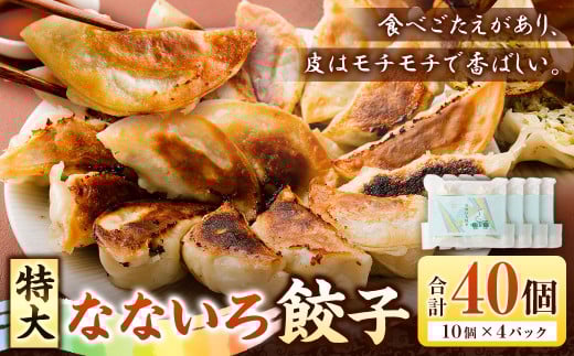 特大なないろ 餃子 10個 × 4パック 合計 40個 ぎょうざ ギョウザ 冷凍
