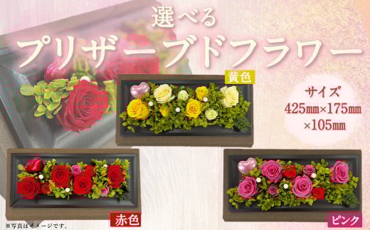 【赤】プリザーブドフラワー(大) インテリア 花 お花 ギフト お祝い 贈り物 ラッピング