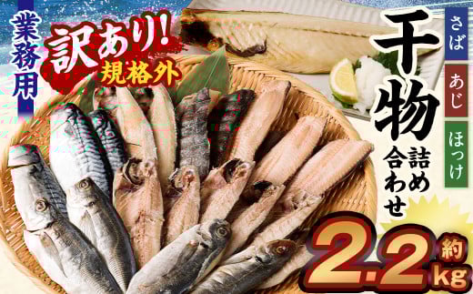 訳あり規格外 業務用 干物詰め合わせ 2.2kg