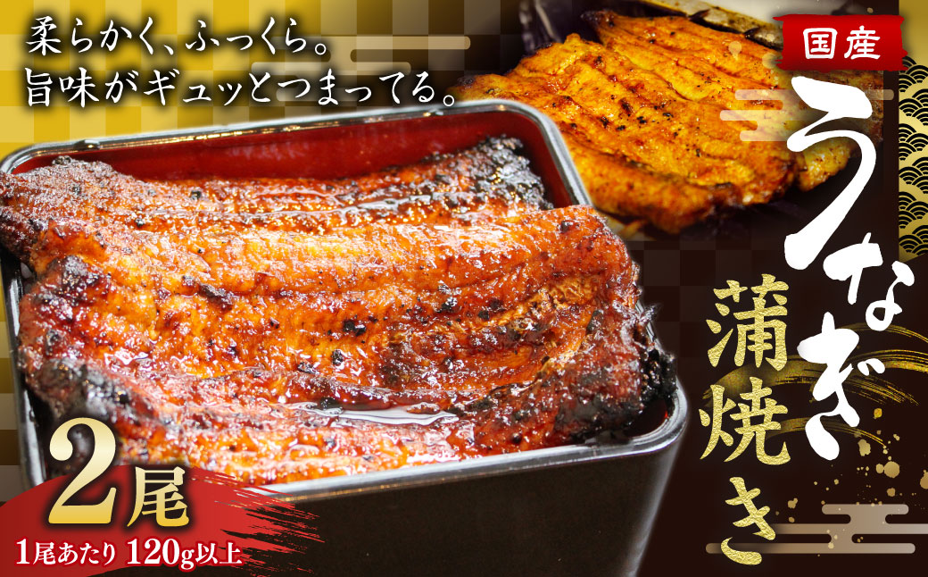 ウナギ 蒲焼き 2尾 鰻 うなぎ かば焼き 蒲焼 魚 お魚 さかな 国産