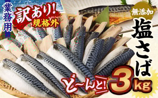 【訳あり規格外】 業務用 無添加 塩さば どーんと! 3kg 鯖 さば 塩サバ 干物 魚