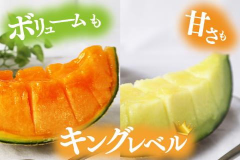 【2026年5月より順次発送】特大玉イバラキングメロン＆クインシーメロン（各1玉／計2玉）｜メロン クインシーメロン イバラキングメロン フルーツ 果物 くだもの 特大 先行予約 茨城県 行方市(BW-16-1)