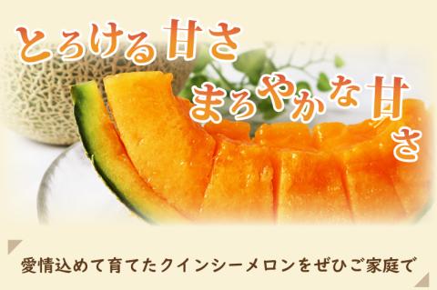 【2026年5月より順次発送】クインシーメロン 3～4玉｜メロン クインシーメロン フルーツ 果物 くだもの 先行予約 茨城県 行方市(BW-17-1)