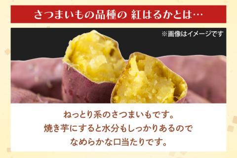【2025年12月より順次発送】茨城県産 紅はるか 訳あり サイズミックス　約5kg｜訳あり わけあり 訳アリ さつまいも サツマイモ さつま芋 紅はるか べにはるか 芋 いも 茨城県産 行方市(FU-1)