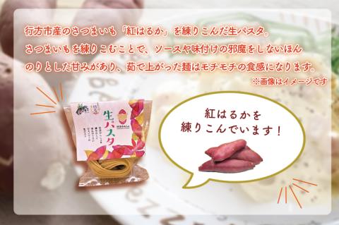 CJ-7 生パスタ （スパゲッティ10食分）＆トマトソース5袋