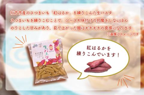 CJ-9 生パスタ （ペンネ10食分）＆トマトソース5袋