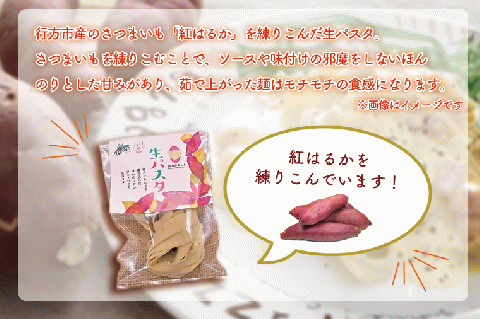 CJ-13 生パスタ （パッパルデッレ10食分）