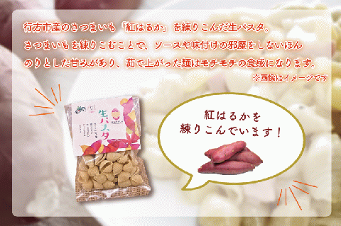 CJ-14 生パスタ （コンキリエ10食分）