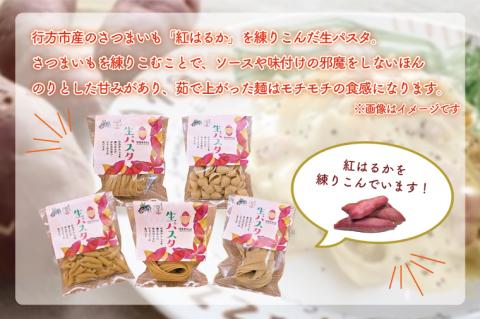 CJ-17 【行方市産さつまいも紅はるか使用】 生パスタ5種（計10食分）