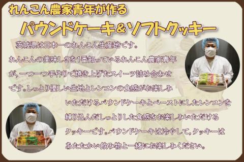 DV-4　れんこん農家青年が作る★パウンドケーキ&ソフトクッキー★