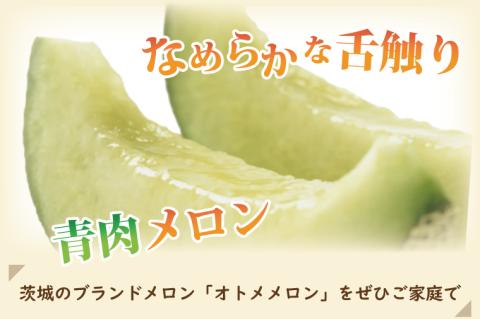 BW-22　【4月中旬発送】オトメメロン（４～６玉）