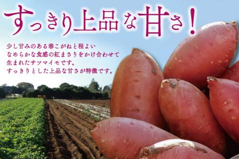 【2026年1月中旬より順次発送】野原さんちのシルクスイート 約5kg｜芋 さつまいも サツマイモ お芋 いも シルクスイート 期間限定 先行予約 茨城県 行方市(EL-3-1)