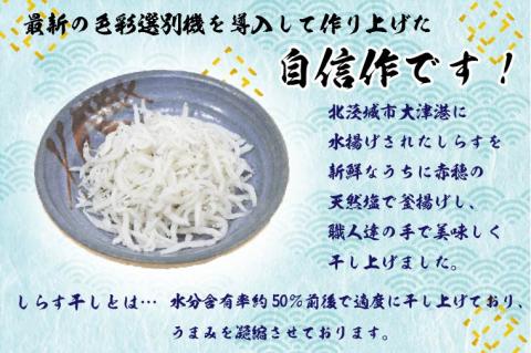 【茨城県共通返礼品／北茨城市】大津港水揚げのしらす干し１kg(DS-5-1)