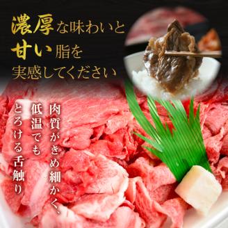J-6 茨城最高のブランド牛【常陸牛切り落とし】600g