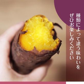 【2025年11月より順次発送】2025年度産 いろんなさつまいも食べ比べセット 約4.5kg(5～8品種)|さつまいも サツマイモ いも 芋 食べ比べ 茨城県 行方市（BZ-18）