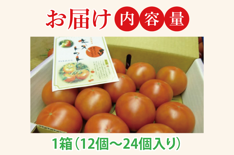 【2026年2月より順次発送】★フルーツトマト★KISSトマト 1箱｜トマト とまと フルーツ フルーツトマト KISSトマト 先行予約 茨城県 行方市(AC-1)