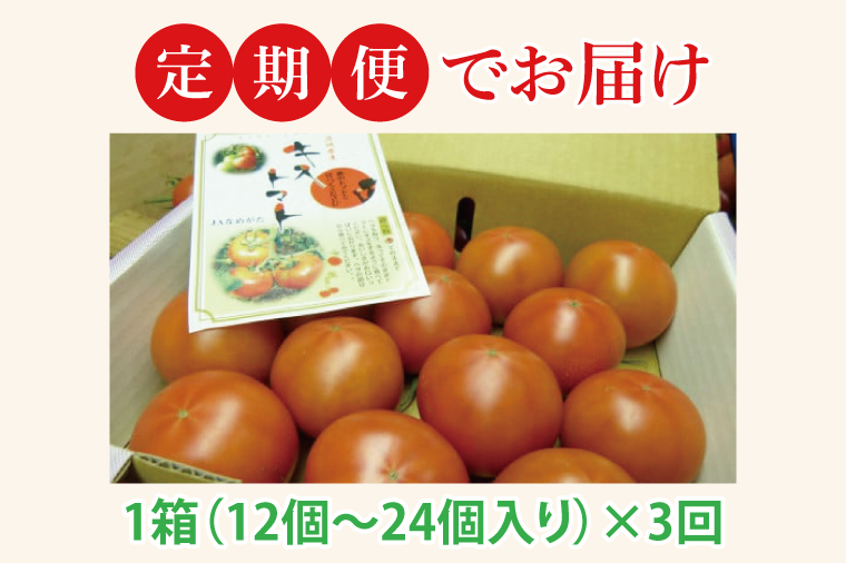 【2026年2月より順次発送】【3ヶ月定期便】★フルーツトマト★KISSトマト 1箱｜トマト とまと フルーツ フルーツトマト KISSトマト 先行予約 定期便 茨城県 行方市(AC-5)