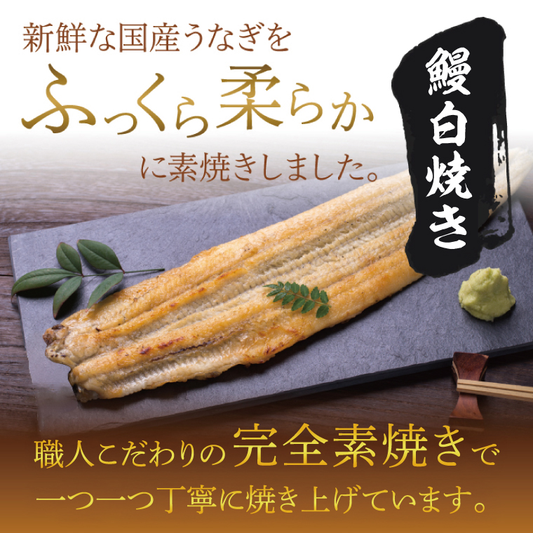 満足サイズ！国内産うなぎ白焼(酒蒸し)120～140g 4尾　計480g以上|うなぎ 鰻 白焼 酒蒸し 満足 茨城県 行方市（AD-135-1）