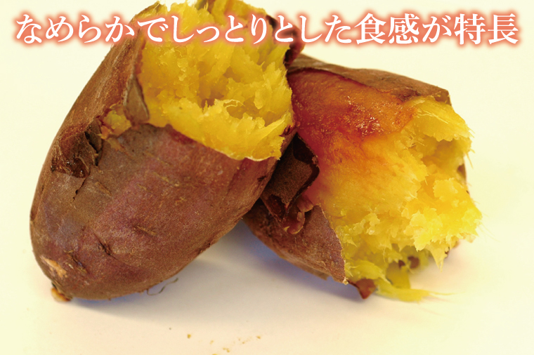 【2026年2月より順次発送】【訳あり】行方かんしょ「紅まさり」さつまいも約10kg（洗い・不揃い・C品）｜さつまいも サツマイモ さつま芋 お芋 紅まさり 訳あり わけあり 訳アリ 行方かんしょ 先行予約 茨城県 行方市(AE-111)