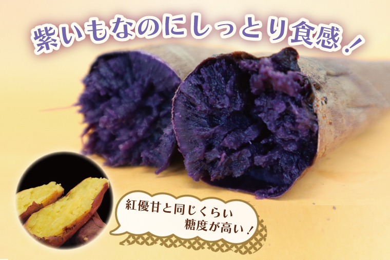 【2026年2月より順次発送】【訳あり】行方かんしょ「行方の紫福」さつまいも約10kg（洗い・不揃い・C品）｜さつまいも サツマイモ さつま芋 お芋 行方の紫福 訳あり わけあり 訳アリ 行方かんしょ 茨城県 行方市(AE-113)