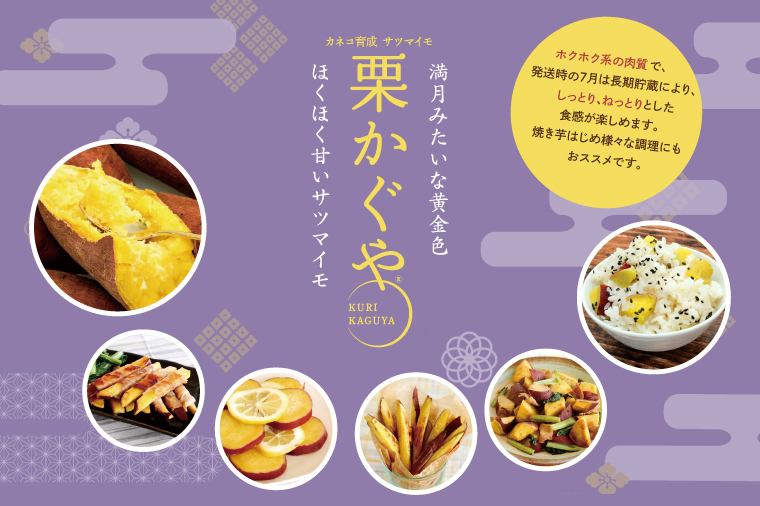 【2026年7月より順次発送】希少な新品種！７月限定「行方の黄福(栗かぐや)」さつまいも 約10kg｜さつまいも サツマイモ さつま芋 お芋 希少 新品種 栗かぐや 先行予約 茨城県 行方市(AE-89)