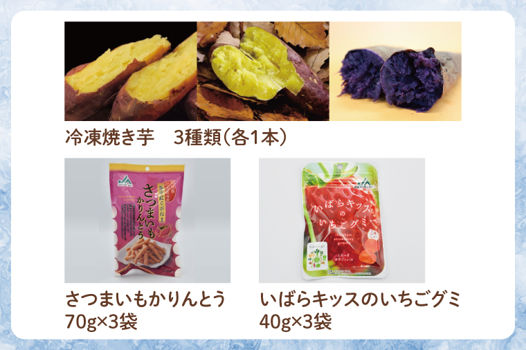 【2025年1月より順次発送】★数量限定★冷んやりスイーツBOX(AE-91)