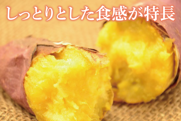 【2025年11月下旬より順次発送】【行方かんしょ】『天皇杯受賞』JA「紅優甘」さつまいも約10kg｜さつまいも サツマイモ さつま芋 お芋 紅優甘 行方かんしょ 茨城県 行方市(AE-97)