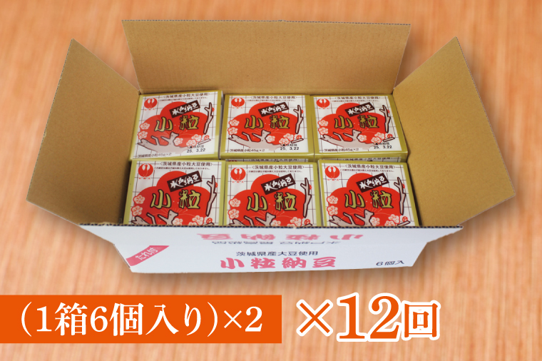 【12ヶ月定期便】水戸納豆 小粒 12個(1箱6個入り×2)｜納豆 水戸納豆 定期便 小粒 小粒納豆 茨城県 行方市(BD-5)