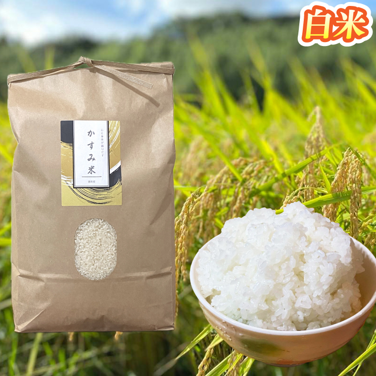 【2026年9月下旬より順次発送】★新米★R8年産 かすみ米 10kg(白米または玄米)【茨城県共通返礼品/潮来市】｜米 お米 新米 こめ かすみ米 10kg 白米 玄米 共通返礼品 茨城県共通返礼品 数量限定 先行予約 人気 送料無料(BI-89)