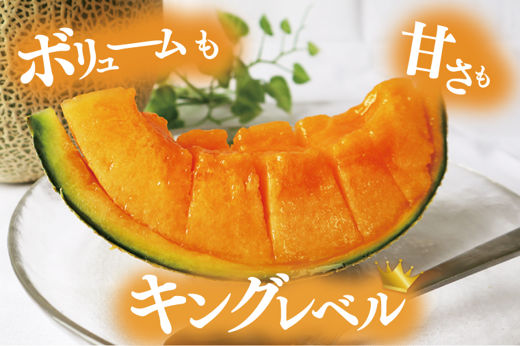 【2026年5月より順次発送】特大玉クインシーメロン(2玉)｜メロン クインシーメロン フルーツ 特大 果物 くだもの 先行予約 茨城県 行方市(BW-26)