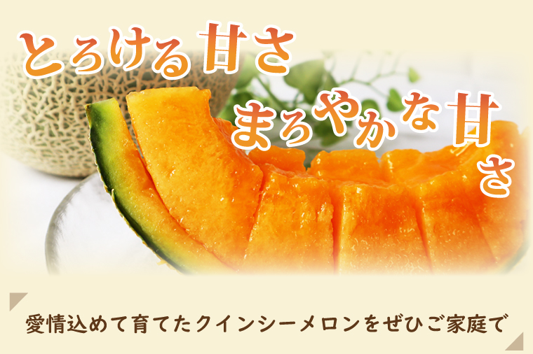 【2026年5月より順次発送】クインシーメロン 1玉(1.5kg以上)｜メロン クインシーメロン フルーツ 果物 くだもの 先行予約 茨城県 行方市(BW-28)
