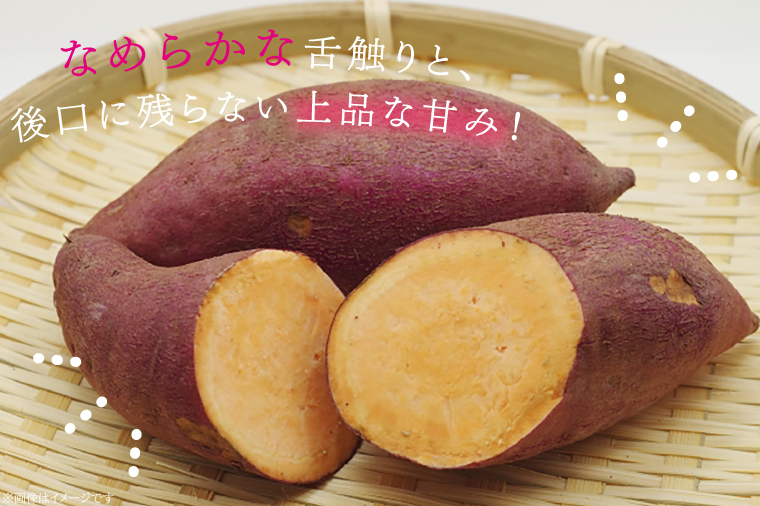 さつまいも ハロウィンスイート 約5kg｜茨城県 行方市 ふるさと納税 芋 いも さつまいも サツマイモ さつま芋 お芋 おいも ハロウィンスイート 5kg 10000円 1万円 渋谷農園 さつまいも博(BZ-47)