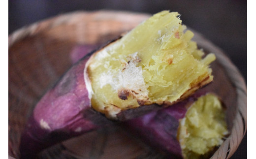 【2025年11月より順次発送】2025年度産 上品な甘みのさつまいも あいこまち 約5kg｜さつまいも サツマイモ さつま芋 芋 お芋 あいこまち 先行予約 渋谷農園 人気 送料無料 茨城県 行方市(BZ-7)