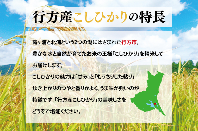 ★令和7年産★行方産こしひかり 5kg(検査1等 米)｜米 お米 コシヒカリ こしひかり R7年産 茨城県 行方市(CU-30-2)